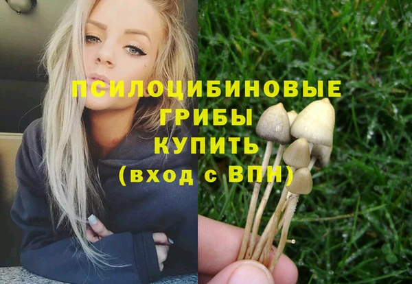 ПСИЛОЦИБИНОВЫЕ ГРИБЫ Алексеевка
