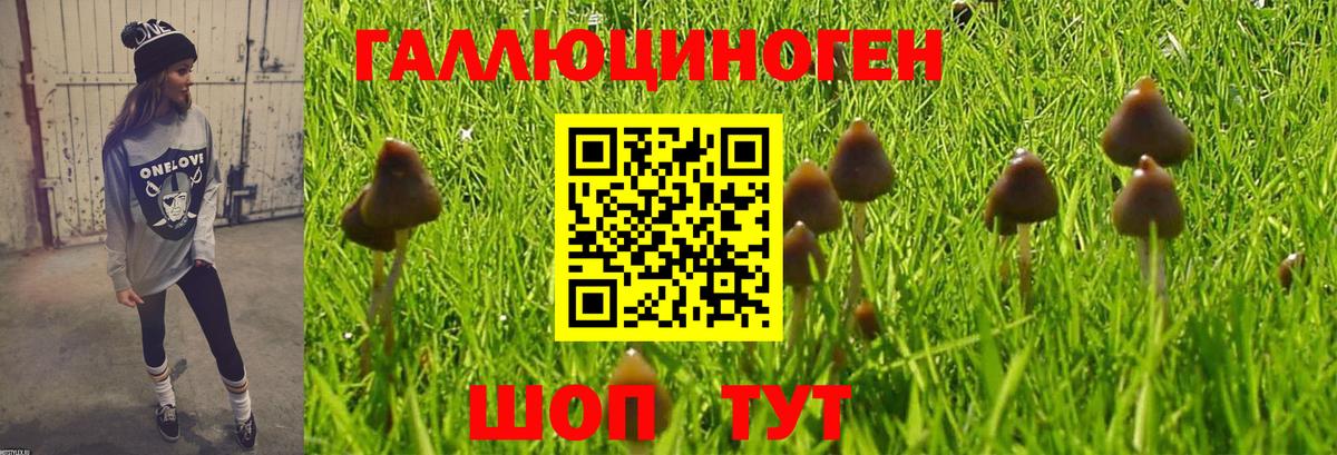 Псилоцибиновые грибы GOLDEN TEACHER Йошкар-Ола